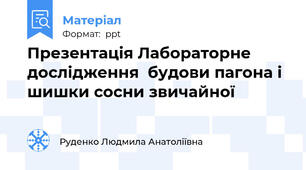 Презентація Лабораторне дослідження  будови пагона і шишки сосни звичайної