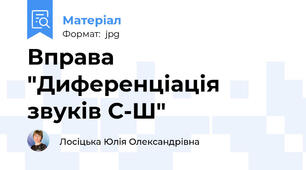 Вправа "Диференціація звуків С-Ш"