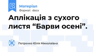 Аплікація з сухого листя “Барви осені”.