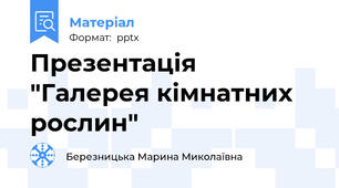 Презентація "Галерея кімнатних рослин"