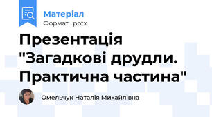 Презентація "Загадкові друдли. Практична частина"