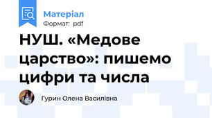 НУШ. «Медове царство»: пишемо цифри та числа