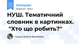 НУШ. Тематичний словник в картинках.  "Хто що робить?"