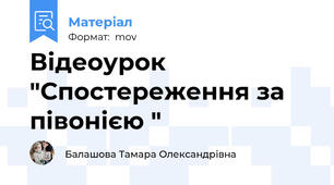 Відеоурок  "Спостереження за півонією "