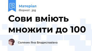 Сови вміють множити до 100