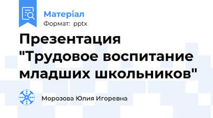 Презентация "Трудовое воспитание младших школьников"
