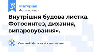 Внутрішня будова листка. Фотосинтез, дихання, випаровування».