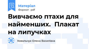 Вивчаємо птахи для найменших.  Плакат на липучках
