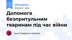 Допомога безпритульним тваринам під час війни