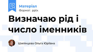 Визначаю рід і число іменників