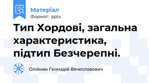 Тип Хордові, загальна характеристика, підтип Безчерепні.