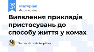 Виявлення прикладів пристосувань до способу життя у комах
