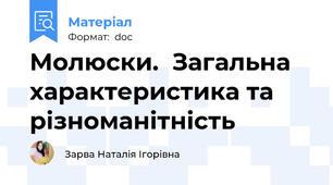 Молюски.  Загальна характеристика та різноманітність