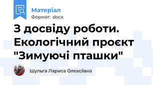 З досвіду роботи. Екологічний проєкт "Зимуючі пташки"