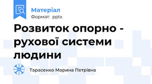 Розвиток опорно - рухової системи людини