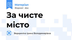 За чисте місто