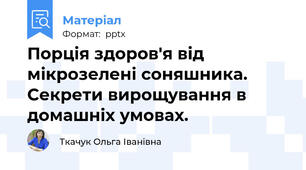 Порція здоров'я від мікрозелені соняшника. Секрети вирощування в домашніх умовах.