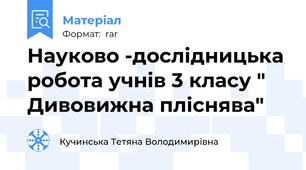 Науково -дослідницька робота учнів 3 класу " Дивовижна пліснява"