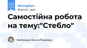 Самостійна робота на тему:"Стебло"