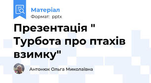 Презентація " Турбота про птахів взимку"