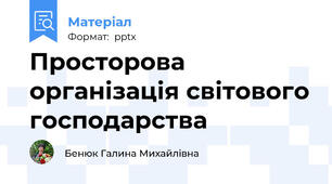 Просторова організація світового господарства