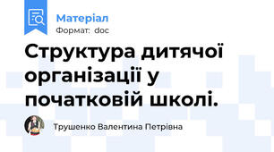 Структура дитячої організації у початковій школі.