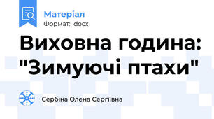 Виховна година: "Зимуючі птахи"