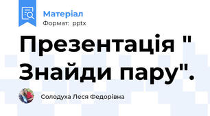 Презентація " Знайди пару".