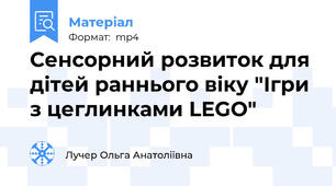 Сенсорний розвиток для дітей раннього віку "Ігри з цеглинками LEGO"