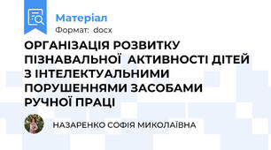 ОРГАНІЗАЦІЯ РОЗВИТКУ ПІЗНАВАЛЬНОЇ  АКТИВНОСТІ ДІТЕЙ З ІНТЕЛЕКТУАЛЬНИМИ ПОРУШЕННЯМИ ЗАСОБАМИ  РУЧНОЇ ПРАЦІ