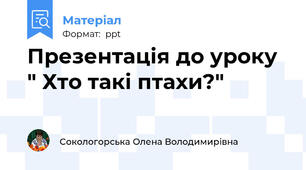 Презентація до уроку  " Хто такі птахи?"