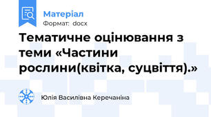 Тематичне оцінювання з теми «Частини рослини(квітка, суцвіття).»