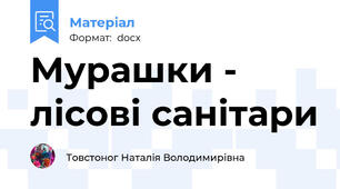 Мурашки - лісові санітари