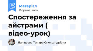 Спостереження за айстрами ( відео-урок)