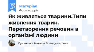Як живляться тварини.Типи живлення тварин. Перетворення речовин в організмі людини