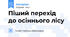 Піший перехід до осіннього лісу