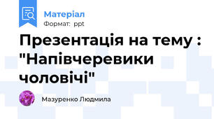 Презентація на тему : "Напівчеревики чоловічі"