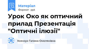 Урок Око як оптичний прилад Презентація "Оптичні ілюзії"