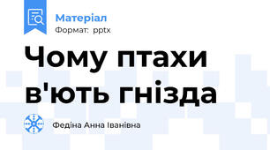 Чому птахи в'ють гнізда