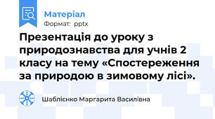 Презентація до уроку з природознавства для учнів 2 класу на тему «Спостереження за природою в зимовому лісі».