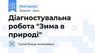 Діагностувальна робота "Зима в природі"