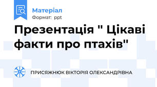 Презентація '' Цікаві факти про птахів''