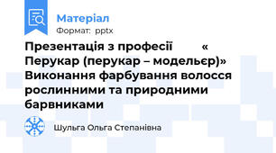 Презентація з професії       « Перукар (перукар – модельєр)»   Виконання фарбування волосся   рослинними та природними барвниками