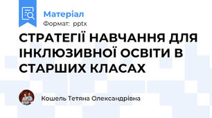СТРАТЕГІЇ НАВЧАННЯ ДЛЯ ІНКЛЮЗИВНОЇ ОСВІТИ В СТАРШИХ КЛАСАХ