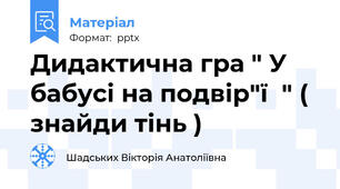 Дидактична гра " У бабусі на подвір"ї  " ( знайди тінь )