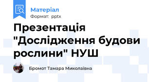 Презентація "Дослідження будови рослини" НУШ