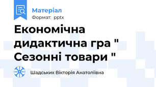 Економічна дидактична гра " Сезонні товари "