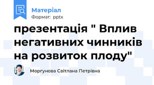 презентація " Вплив негативних чинників на розвиток плоду"