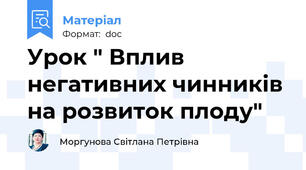 Урок " Вплив негативних чинників на розвиток плоду"