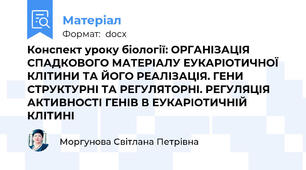 Конспект уроку біології: ОРГАНІЗАЦІЯ СПАДКОВОГО МАТЕРІАЛУ ЕУКАРІОТИЧНОЇ КЛІТИНИ ТА ЙОГО РЕАЛІЗАЦІЯ. ГЕНИ СТРУКТУРНІ ТА РЕГУЛЯТОРНІ. РЕГУЛЯЦІЯ АКТИВНОСТІ ГЕНІВ В ЕУКАРІОТИЧНІЙ КЛІТИНІ